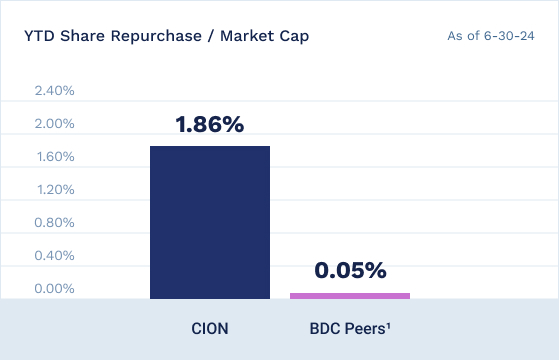 YTD Share Repurchase Market Cap Graph